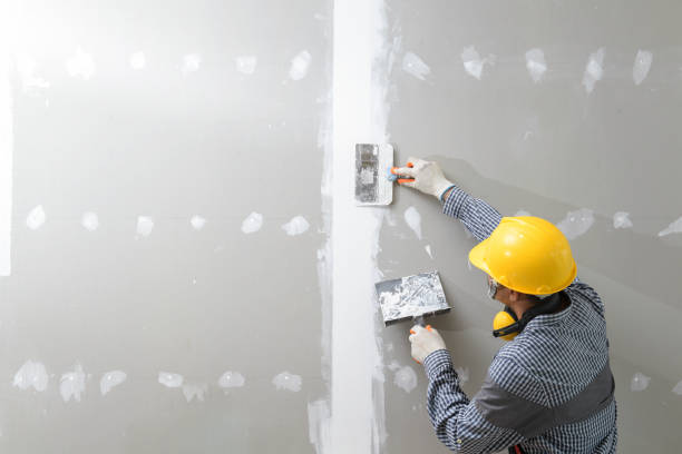 Professional Mold Removal in Amherst, OH