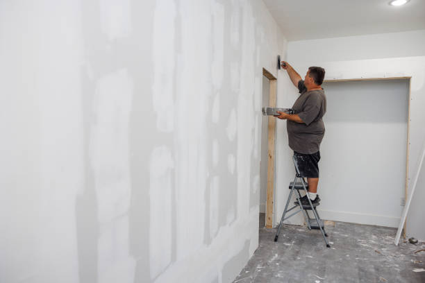 Best Industrial Mold Remediation  in Amherst, OH