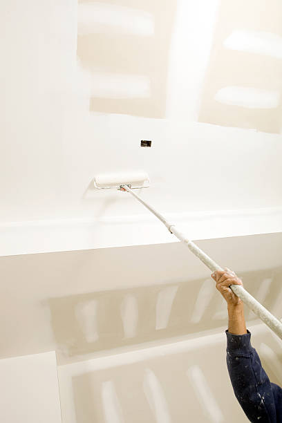 Best Mold Prevention Services  in Amherst, OH
